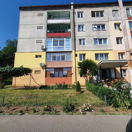 Guesthouse Mili Orsova Exterior photo